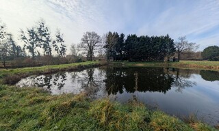 Photo N° 4