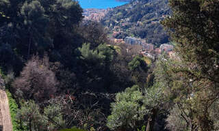 Terrain  8064 m² à vendre à Menton (06500)