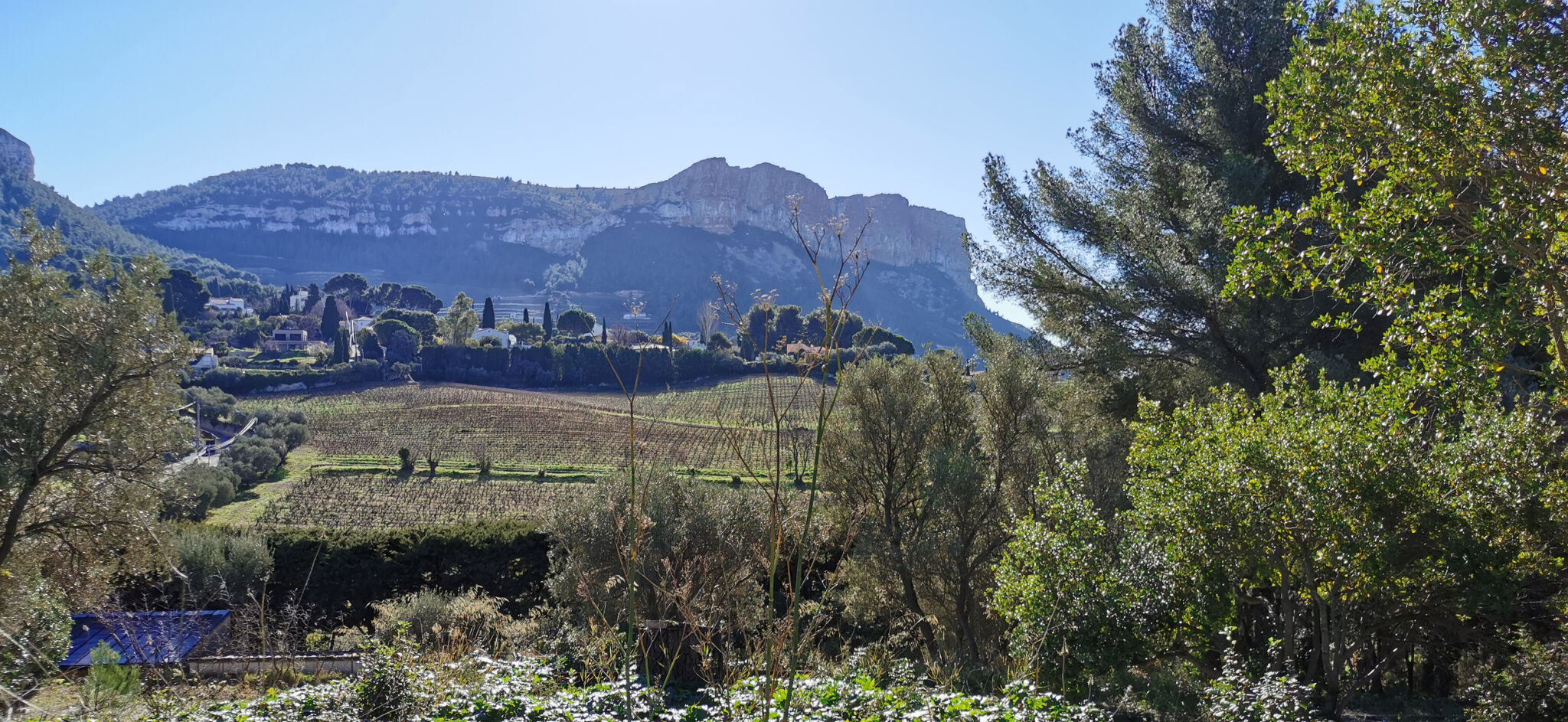 Terrain  à vendre Cassis 13260