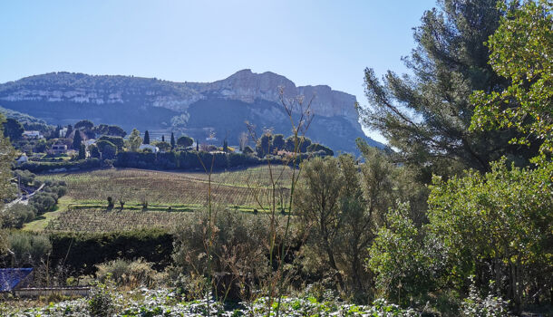 Terrain  à vendre Cassis 13260