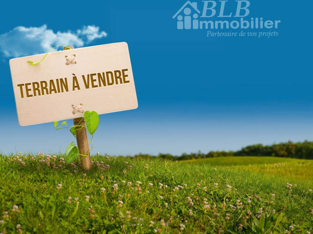 TERRAIN CONSTRUCTIBLE - MAUREPAS — photo du bien