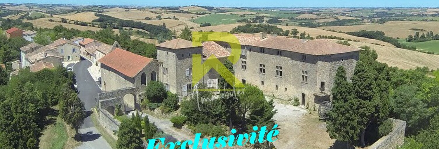 Maison 10 Pièces 315 m² à vendre à Mézerville (11410)