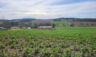 Terrain  1148 m² à vendre à Puycasquier (32120)