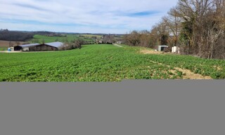 Photo N° 3