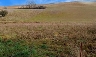 Terrain  1250 m² à vendre à Graulhet (81300)