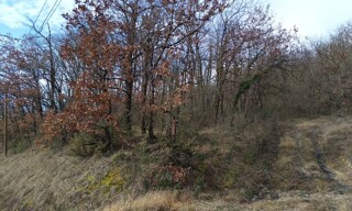 Photo N° 3