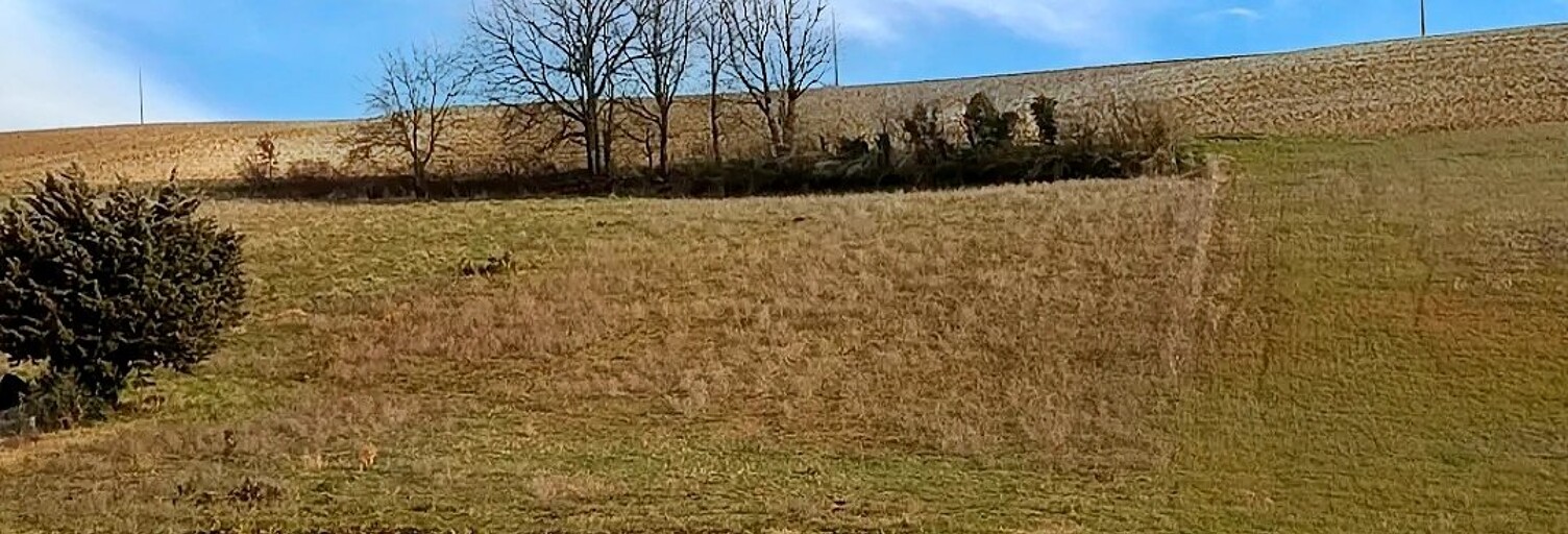 Terrain   m² à vendre à Graulhet (81300)