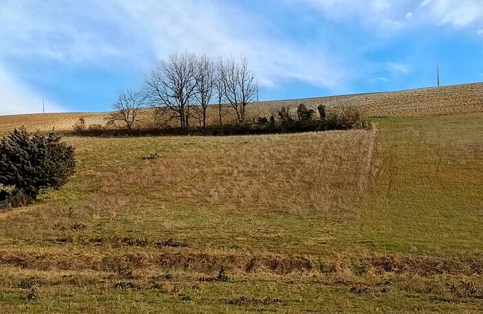 Terrain agricole — photo 2