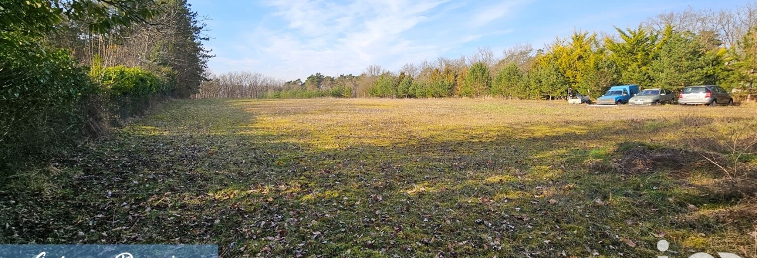 Maison 10 Pièces 233 m² à vendre à Boissy-aux-Cailles (77760)