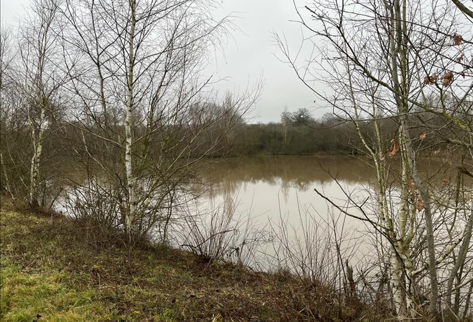 Etang de 0 pièces principales — photo 1