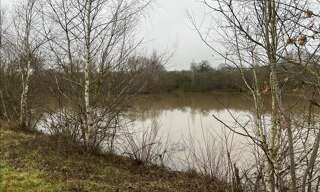 Terrain  90000 m² à vendre à Saint-Désiré (03370)