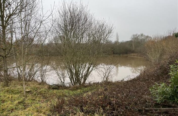 Etang de 0 pièces principales — photo 4