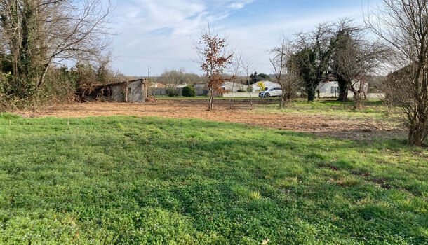 Terrain  à vendre Mosnac 17240