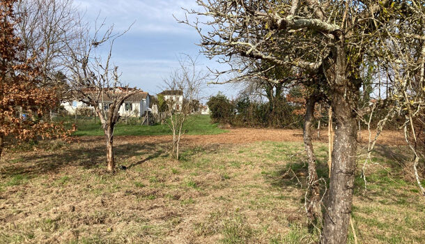 Terrain  à vendre Mosnac 17240