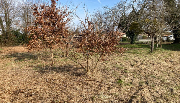 Terrain  à vendre Mosnac 17240