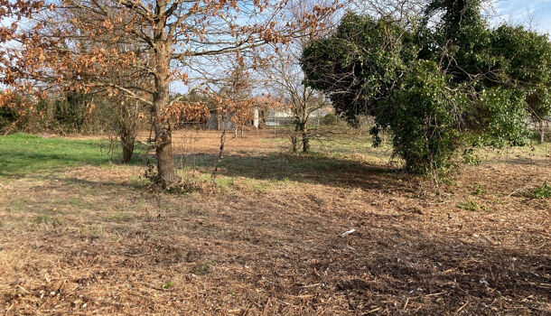 Terrain  à vendre Mosnac 17240