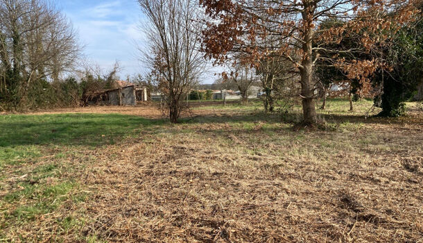 Terrain  à vendre Mosnac 17240