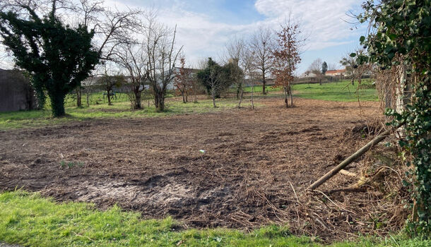 Terrain  à vendre Mosnac 17240