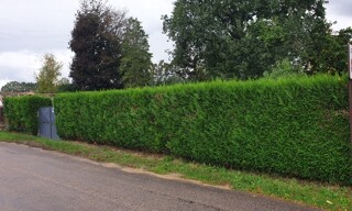 Terrain  1171 m² à vendre à Vernou-la-Celle-sur-Seine (77670)