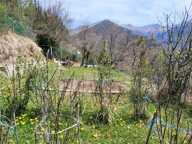 MOULINET : JARDIN D'AGREMENT — photo 2