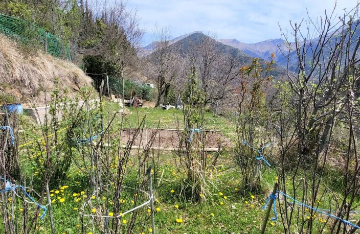 MOULINET : JARDIN D'AGREMENT — photo 2