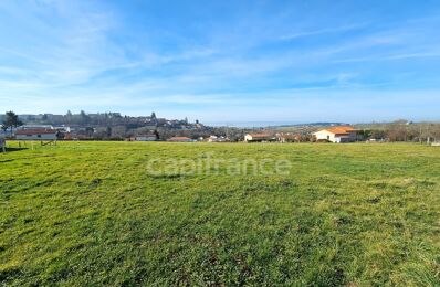 terrain  pièces 16726 m2 à vendre à Panissières (42360)