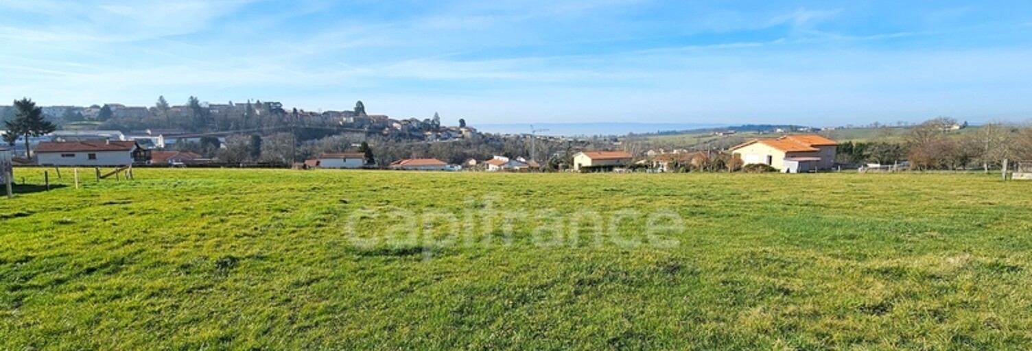 Terrain  16726 m² à vendre à Panissières (42360)