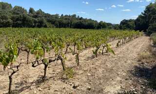 Maison  6566 m² à vendre à Saint-Hilaire-d'Ozilhan (30210)