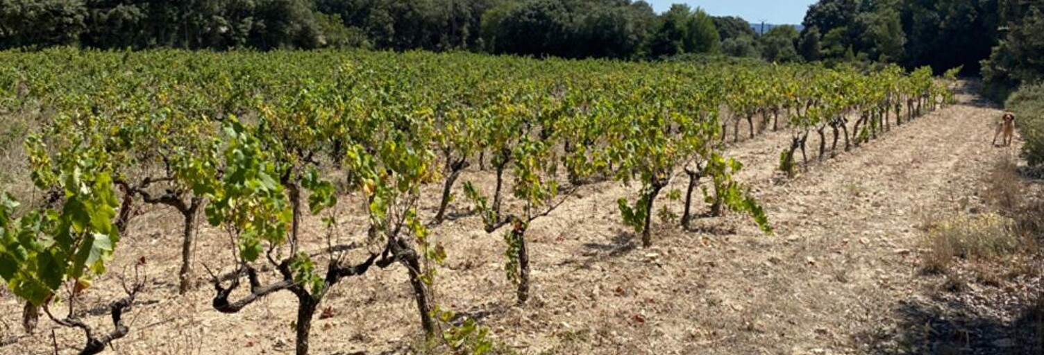 Maison  6566 m² à vendre à Saint-Hilaire-d'Ozilhan (30210)