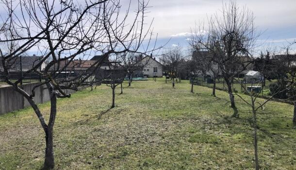 Terrain  à vendre Semoy 45400