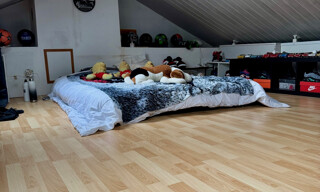 Photo N° 9