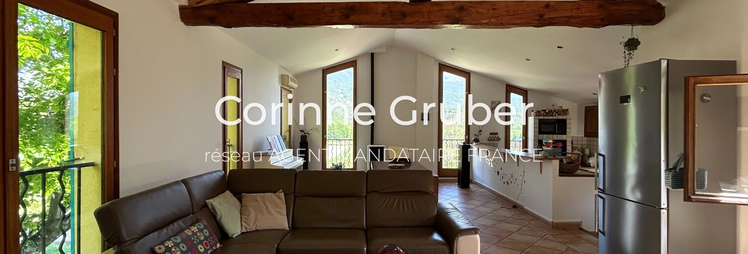 Maison 11 Pièces 237 m² à vendre à Digne-les-Bains (04000)