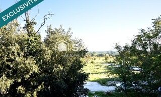 Photo N° 5