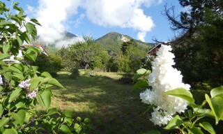 Photo N° 6