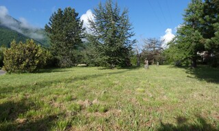 Photo N° 3