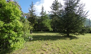 Photo N° 4