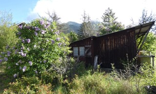 Photo N° 8