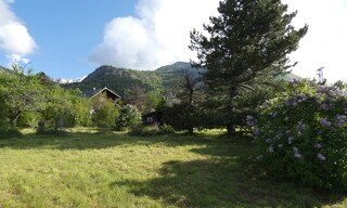 Photo N° 5