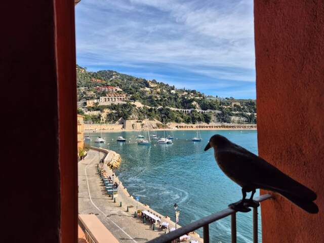 Villefranche-sur-Mer – Vue mer et cadre d’exception — photo du bien