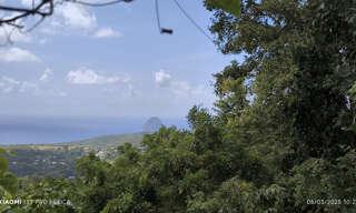 Terrain  4282 m² à vendre à Le Diamant (97223)