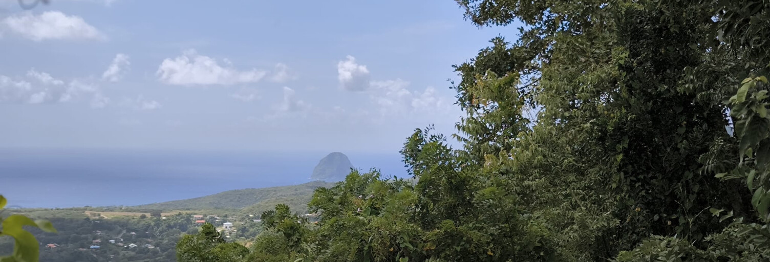 Terrain  4282 m² à vendre à Le Diamant (97223)