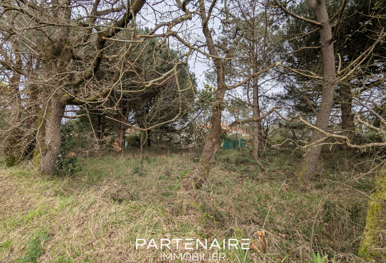 Terrain à bâtir - 662m2 — photo 1