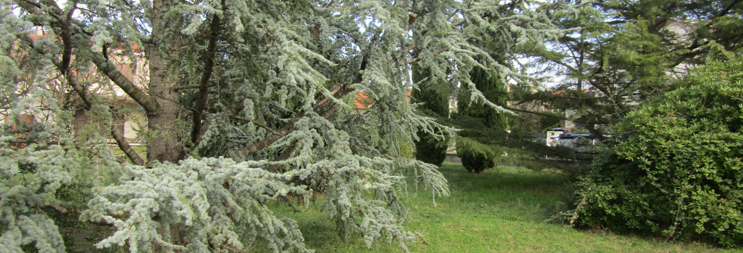 Terrain  585 m² à vendre à Revel (31250)