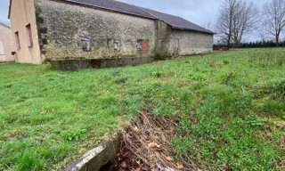 Photo N° 4