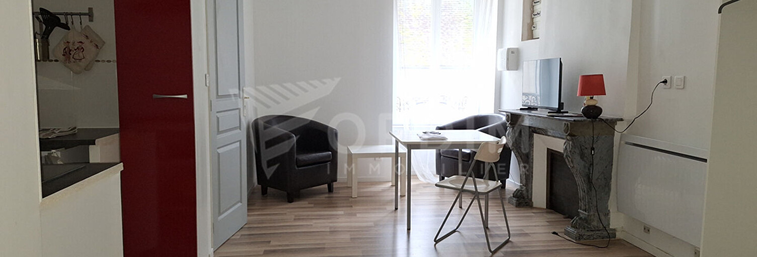 Appartement 1 Pièce 29 m² à louer à Bonny-sur-Loire (45420)