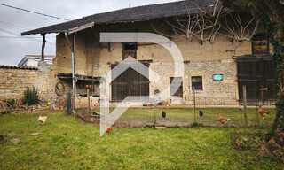 Photo N° 4