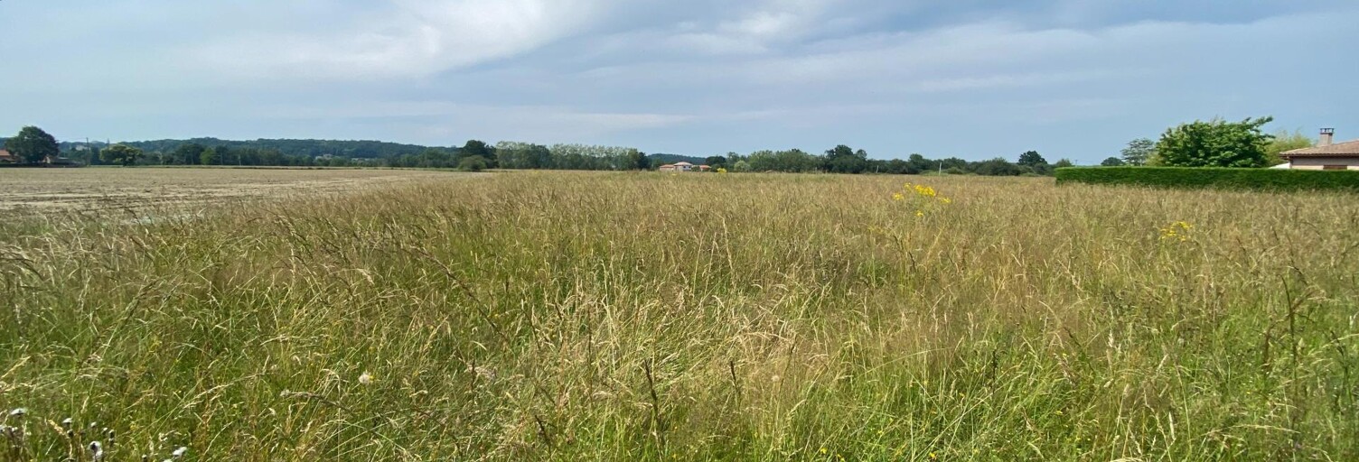 Terrain  1616 m² à vendre à Montréjeau (31210)