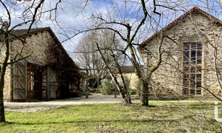 Photo N° 4