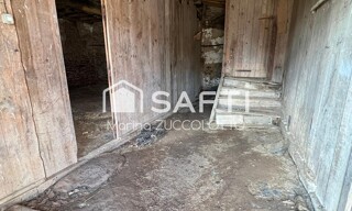 Photo N° 6