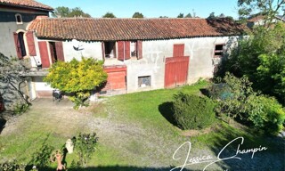 Photo N° 15